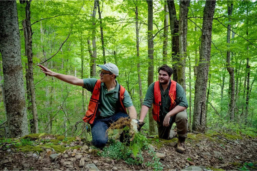 Meet the Forestry Team